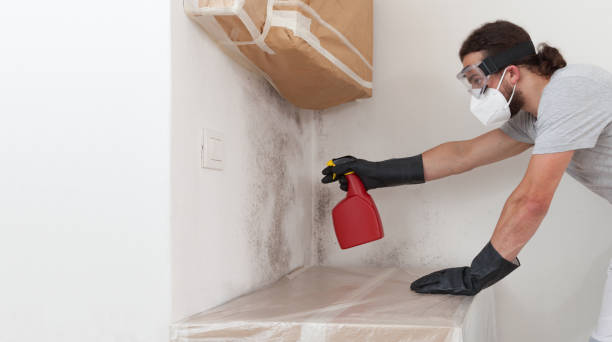 Professional Commercial Mold Remediation technician working in Franklin Park, FL