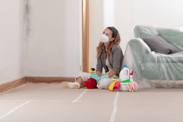 Reliable Commercial Mold Remediation contractor in Franklin Park, FL by WQB Mold Removal